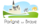 logo 2019